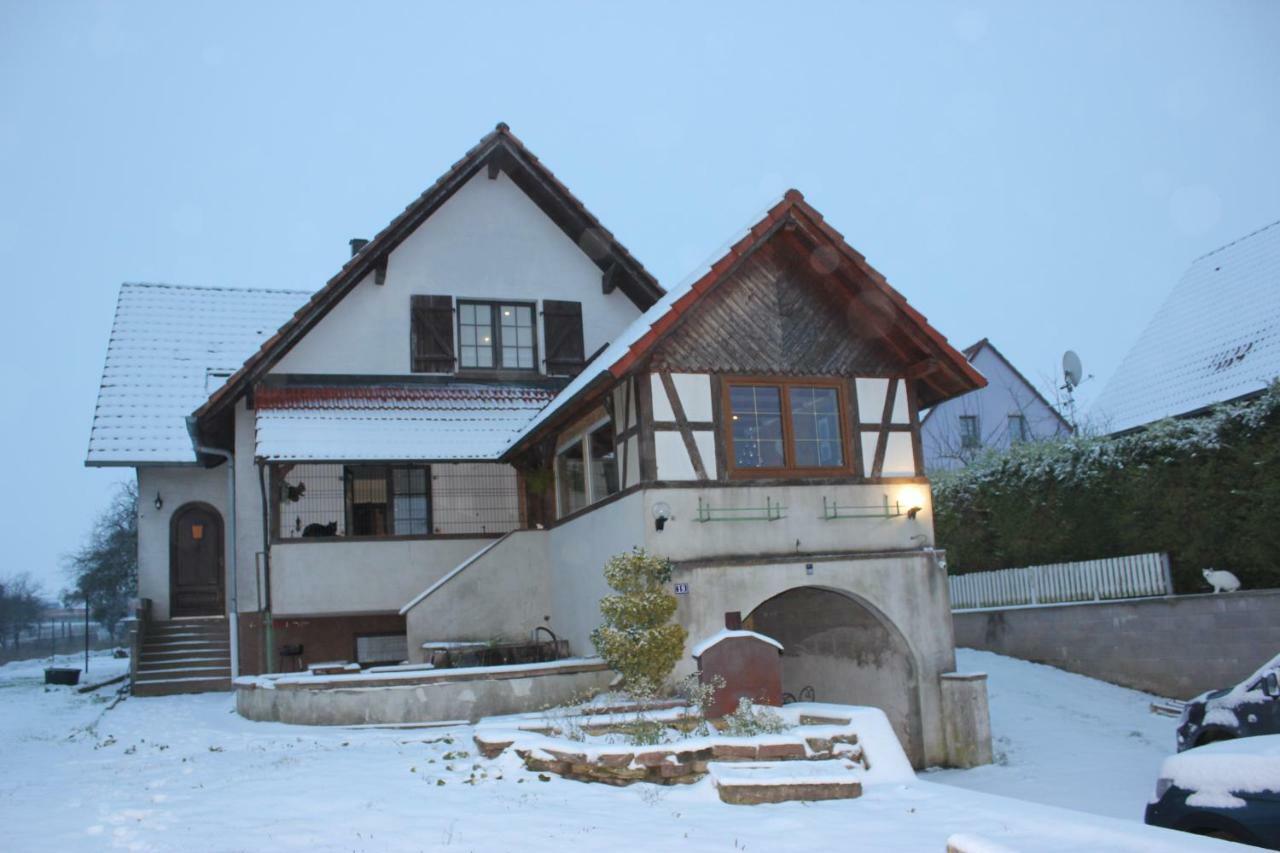 Chez Sandrine Surbourg Экстерьер фото